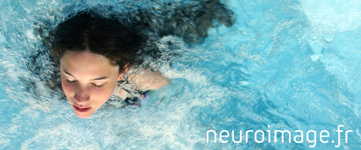 neuroimage.tonnews.top